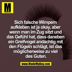 Sich falsche Wimpern 
aufkleben ist ja okay, aber 
wenn man im Zug sitzt und 
das Gefühl hat, dass daneben 
ein Greifvog