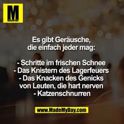 Es gibt Geräusche, 
die einfach jeder mag: 

- Schritte im frischen Schnee 
- Das Knistern des Lagerfeuers 
- Das Knacke