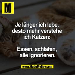 Je länger ich lebe, 
desto mehr verstehe 
ich Katzen: 

Essen, schlafen, 
alle ignorieren.