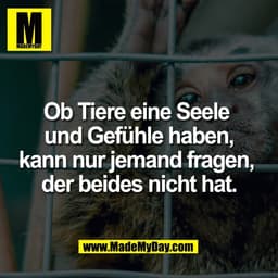 Ob Tiere eine Seele 
und Gefühle haben, kann 
nur jemand fragen, der 
beides nicht hat.