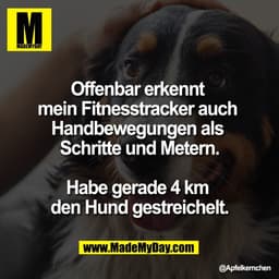 Offenbar erkennt 
mein Fitnesstracker auch 
Handbewegungen als 
Schritte und Metern.

Habe gerade 4 km 
den Hund gestrei