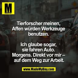 Tierforscher meinen, 
Affen würden Werkzeuge 
benutzen. 

Ich glaube sogar, 
sie fahren Auto. 
Morgens. Direkt vor mir –