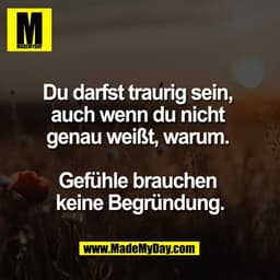 Du darfst traurig sein, 
auch wenn du nicht 
genau weißt, warum. 

Gefühle brauchen 
keine Begründung.