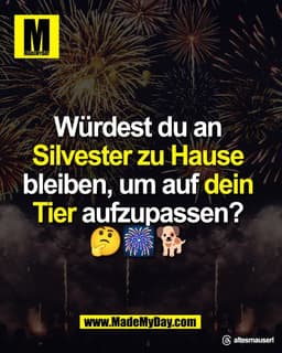 Würdest du an 
Silvester zu Hause 
bleiben, um auf dein 
Tier aufzupassen? 
🤔🎆🐕

Threads: altesmauserl