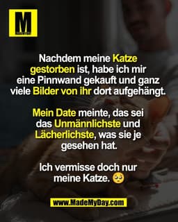 Nachdem meine Katze 
gestorben ist, habe ich mir 
eine Pinnwand gekauft und ganz 
viele Bilder von ihr dort aufgehängt. 