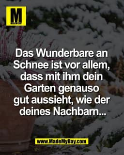 Das Wunderbare an 
Schnee ist vor allem, 
dass mit ihm dein 
Garten genauso 
gut aussieht, wie der 
deines Nachbarn...