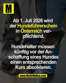 Ab 1. Juli 2026 wird 
der Hundeführerschein
in Österreich ver-
pflichtend.

Hundehalter müssen 
künftig vor der An-
scha