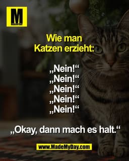 Wie man 
Katzen erzieht: 

„Nein!“ 
„Nein!“ 
„Nein!“ 
„Nein!“ 
„Nein!“ 

„Okay, dann mach es halt.“