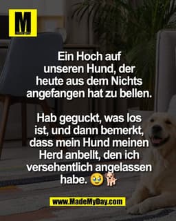 Ein Hoch auf
unseren Hund, der
heute aus dem Nichts
angefangen hat zu bellen.

Hab geguckt, was los
ist, und dann bemerk