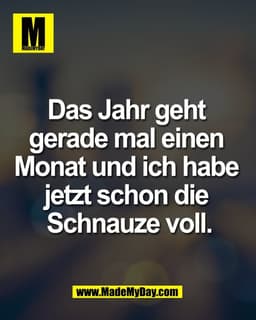 Das Jahr geht 
gerade mal einen 
Monat und ich habe 
jetzt schon die 
Schnauze voll.
