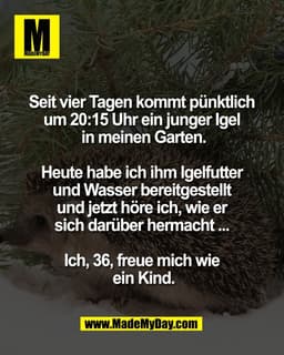 Seit vier Tagen kommt pünktlich 
um 20:15 Uhr ein junger Igel 
in meinen Garten.

Heute habe ich ihm Igelfutter 
und Was