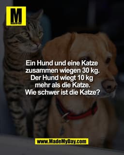 Ein Hund und eine Katze
zusammen wiegen 30 kg.
Der Hund wiegt 10 kg
mehr als die Katze.
Wie schwer ist die Katze?
