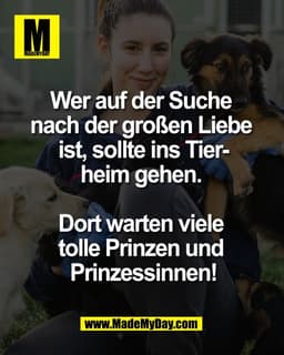 Wer auf der Suche 
nach der großen Liebe 
ist, sollte ins Tier-
heim gehen. 

Dort warten viele 
tolle Prinzen und 
Prin