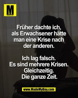 Früher dachte ich, 
als Erwachsener hätte 
man eine Krise nach 
der anderen. 

Ich lag falsch. 
Es sind mehrere Krisen. 