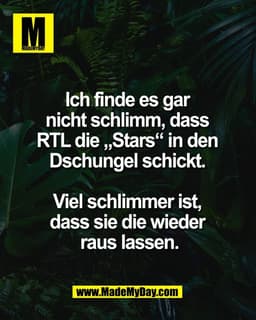 Ich finde es gar 
nicht schlimm, dass 
RTL die „Stars“ in den 
Dschungel schickt. 

Viel schlimmer ist, 
dass sie die wi