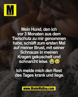 Mein Hund, den ich 
vor 3 Monaten aus dem 
Tierschutz zu mir genommen 
habe, schläft zum ersten Mal 
auf meiner Brust, m