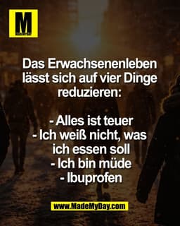 Das Erwachsenenleben 
lässt sich auf vier Dinge 
reduzieren: 

- Alles ist teuer
- Ich weiß nicht, was 
ich essen soll
-