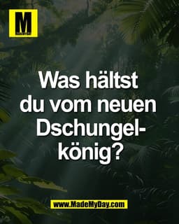 Was hältst 
du vom neuen 
Dschungel-
könig?