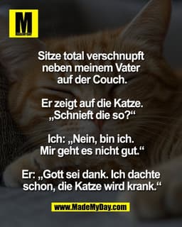 Sitze total verschnupft 
neben meinem Vater 
auf der Couch.

Er zeigt auf die Katze.
„Schnieft die so?“

Ich: „Nein, bin