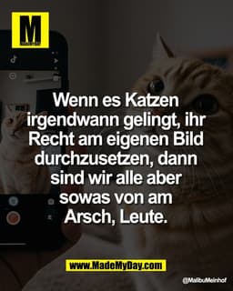 Wenn es Katzen 
irgendwann gelingt, ihr 
Recht am eigenen Bild 
durchzusetzen, dann 
sind wir alle aber 
sowas von am 
A