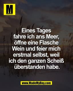 Eines Tages 
fahre ich ans Meer, 
öffne eine Flasche 
Wein und feier mich 
erstmal selbst, weil 
ich den ganzen Scheiß 
