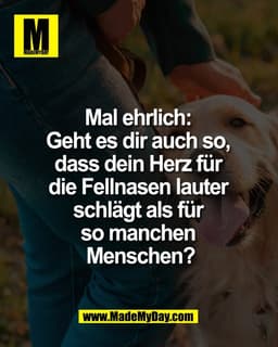 Mal ehrlich: 
Geht es dir auch so, 
dass dein Herz für 
die Fellnasen lauter 
schlägt als für 
so manchen 
Menschen?