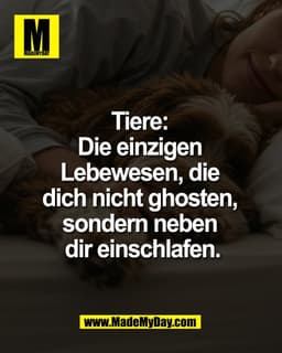 Tiere: 
Die einzigen 
Lebewesen, die 
dich nicht ghosten, 
sondern neben 
dir einschlafen.