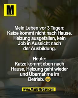 Mein Leben vor 3 Tagen:
Katze kommt nicht nach Hause.
Heizung ausgefallen, kein
Job in Aussicht nach
der Ausbildung.

He
