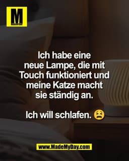 Ich habe eine 
neue Lampe, die mit 
Touch funktioniert und 
meine Katze macht 
sie ständig an. 

Ich will schlafen. 😫