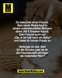 Zahlt die Versicherung der Freundschaft oder erwartest du hier echten Schadensersatz? ðŸ¾ðŸ‘Ÿ