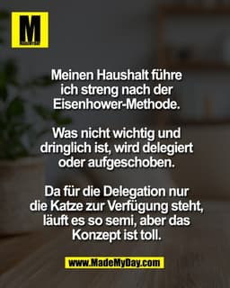 Meinen Haushalt führe
ich streng nach der
Eisenhower-Methode.

Was nicht wichtig und
dringlich ist, wird delegiert
oder 