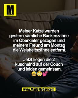 Meiner Katze wurden 
gestern sämliche Backenzähne 
im Oberkiefer gezogen und 
meinem Freund am Montag 
die Weisheitszähn