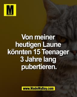 Von meiner 
heutigen Laune 
könnten 15 Teenager 
3 Jahre lang 
pubertieren.