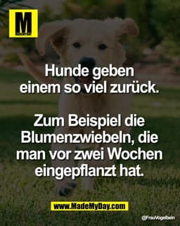 Hunde geben 
einem so viel zurück. 

Zum Beispiel die 
Blumenzwiebeln, die 
man vor zwei Wochen 
eingepflanzt hat.