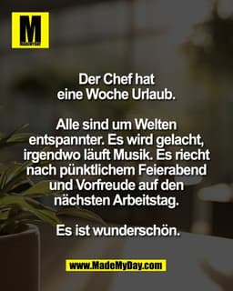 Der Chef hat 
eine Woche Urlaub. 

Alle sind um Welten 
entspannter. Es wird gelacht, 
irgendwo läuft Musik. Es riecht 
