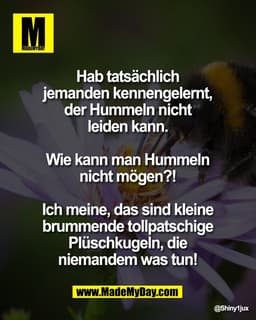 Hab tatsächlich 
jemanden kennengelernt, 
der Hummeln nicht 
leiden kann. 

Wie kann man Hummeln 
nicht mögen?! 

Ich me