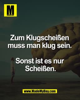 Zum Klugscheißen
muss man klug sein.
Sonst ist es nur
Scheißen.
