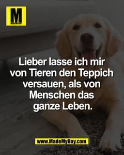 Lieber lasse ich mir
von Tieren den Teppich
versauen, als von
Menschen das
ganze Leben.