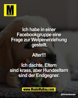"Ich habe in einer 
Facebookgruppe eine 
Frage zur Welpenerziehung 
gestellt.
 
Alter!!! 

Ich dachte, Eltern 
sind kras