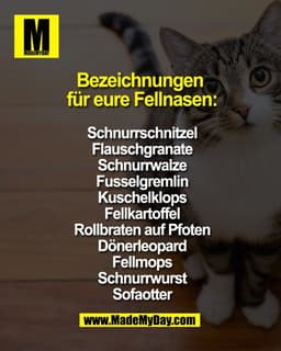 Bezeichnungen 
für eure Fellnasen:

Schnurrschnitzel
Flauschgranate
Schnurrwalze
Fusselgremlin
Kuschelklops
Fellkartoffe