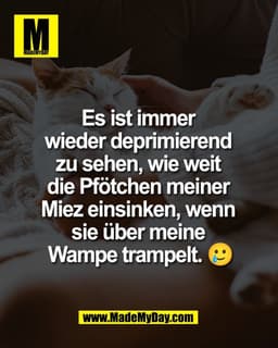 Es ist immer 
wieder deprimierend 
zu sehen, wie weit 
die Pfötchen meiner 
Miez einsinken, wenn 
sie über meine 
Wampe 