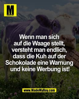 Wenn man sich 
auf die Waage stellt, 
versteht man endlich, 
dass die Kuh auf der 
Schokolade eine Warnung 
und keine We