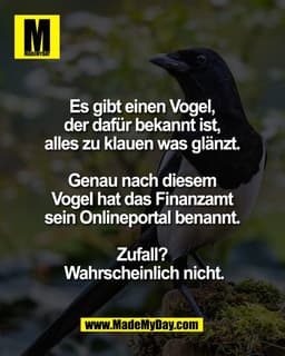 Es gibt einen Vogel, 
der dafür bekannt ist, 
alles zu klauen was glänzt. 

Genau nach diesem 
Vogel hat das Finanzamt 
