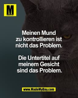 Meinen Mund 
zu kontrollieren ist 
nicht das Problem. 

Die Untertitel auf 
meinem Gesicht 
sind das Problem.