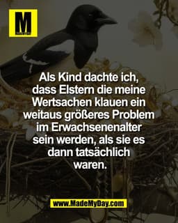 Als Kind dachte ich, 
dass Elstern die meine 
Wertsachen klauen ein 
weitaus größeres Problem 
im Erwachsenenalter 
sein