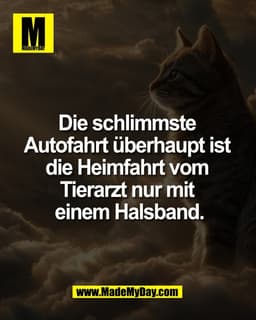 Die schlimmste 
Autofahrt überhaupt ist 
die Heimfahrt vom 
Tierarzt nur mit 
einem Halsband.
