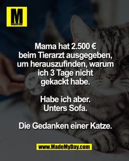Mama hat 2.500 €
beim Tierarzt ausgegeben,
um herauszufinden, warum
ich 3 Tage nicht
gekackt habe.

Habe ich aber.
Unter