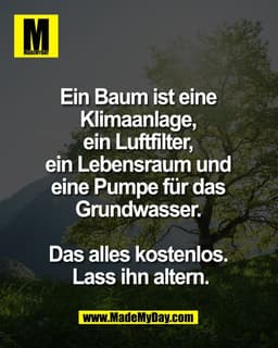 Ein Baum ist eine 
Klimaanlage, 
ein Luftfilter, 
ein Lebensraum und 
eine Pumpe für das 
Grundwasser. 

Das alles koste