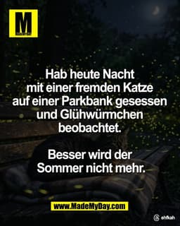 Hab heute Nacht 
mit einer fremden Katze 
auf einer Parkbank gesessen 
und Glühwürmchen 
beobachtet. 

Besser wird der 
