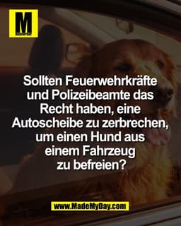 Sollten Feuerwehrkräfte 
und Polizeibeamte das 
Recht haben, eine 
Autoscheibe zu zerbrechen, 
um einen Hund aus 
einem 